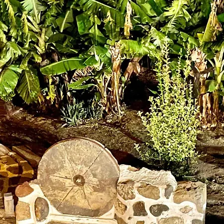 Parralito By Villagrancanaria Villa